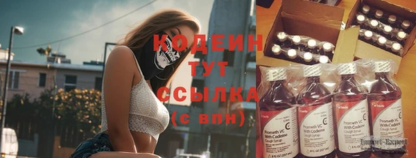 прущий лед Богородицк